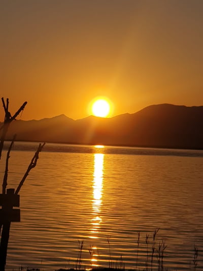 a sunset over a lake with a tree in the foreground